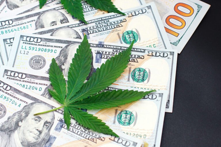 Cuánto ha recaudado Stamford en impuestos por venta de cannabis recreacional y cómo se gastará