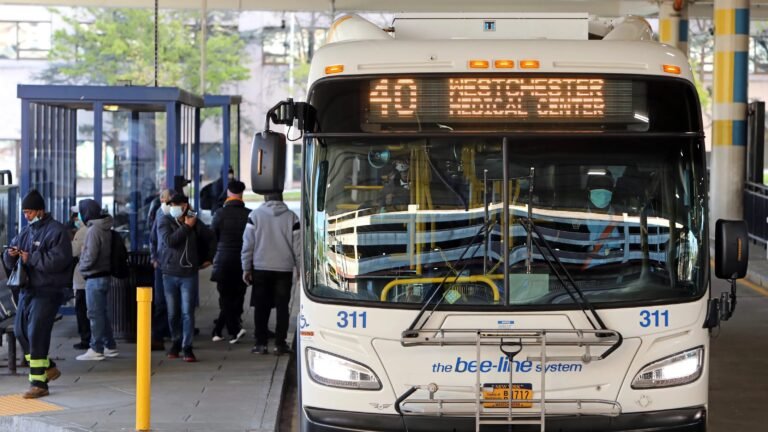 Servicio de autobús Bee-Line vuelve a ser gratuita durante el verano