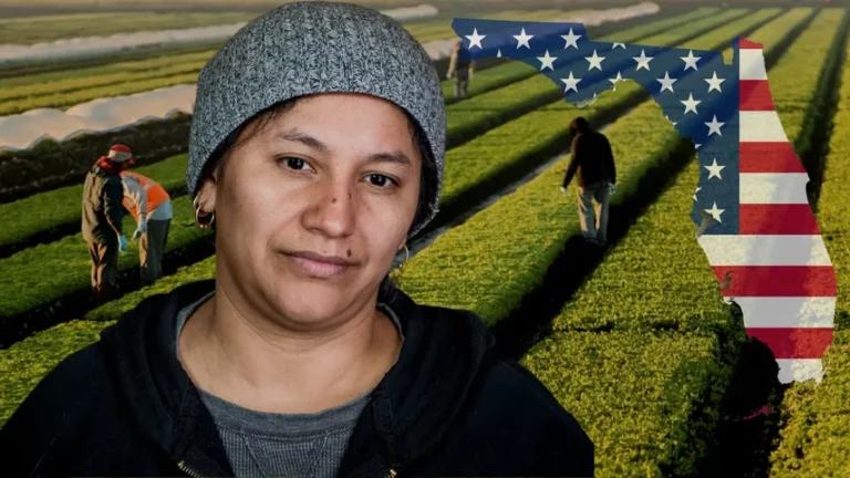 Nueva ley de inmigración comienza a sentirse en Florida