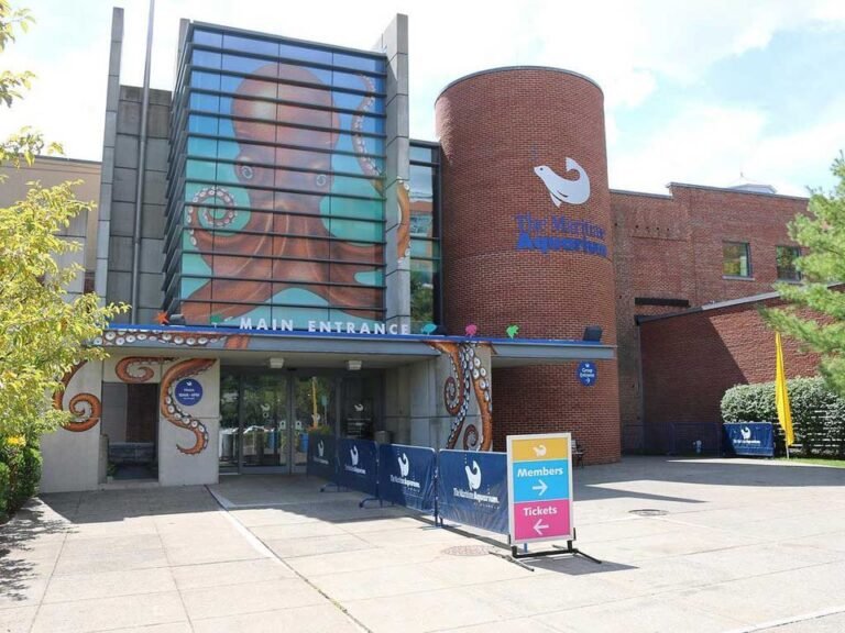 Acuario Marítimo ofrece entrada gratuita para niños