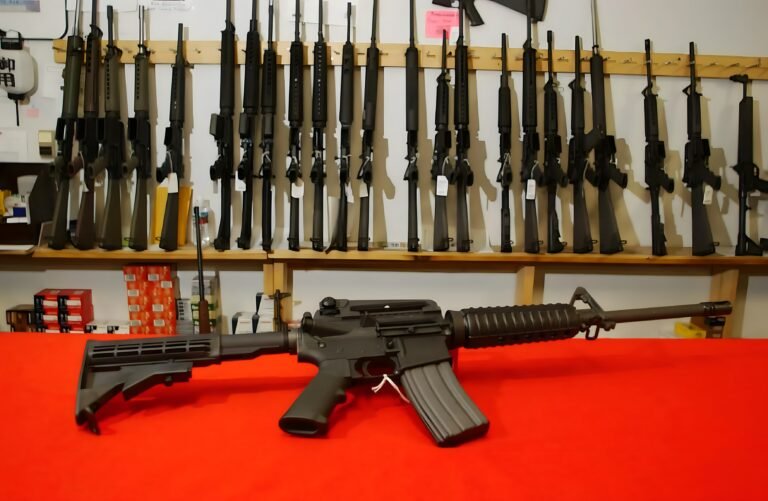 Jueza se niega a detener ley de armas de asalto