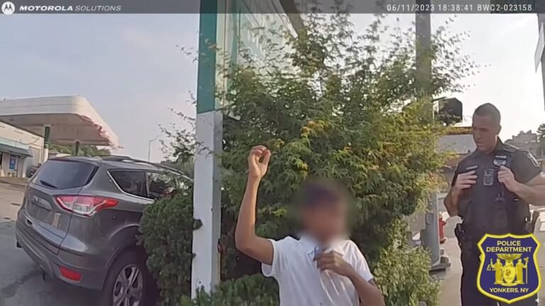 Policía rechaza críticas sobre video de las redes sociales