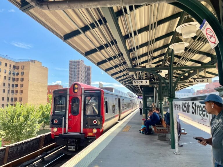 Proponen menos trenes y precios más altos para líneas ferroviarias