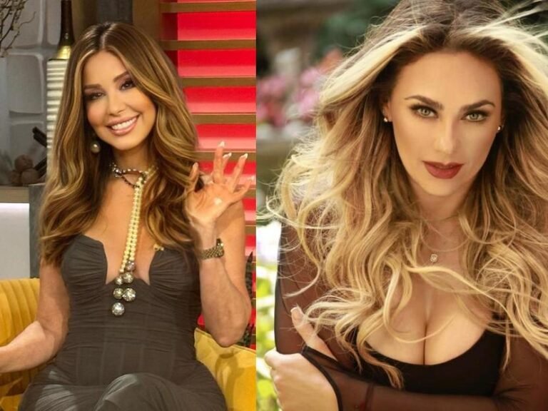 Myrka Dellanos sale en defensa de Luis Miguel tras los duros comentarios de Aracely Arámbula