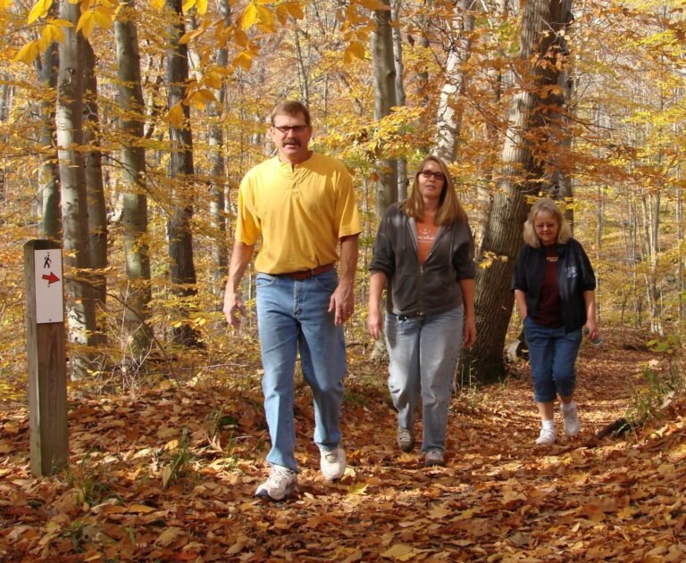 Diez recorridos para disfrutar del follaje de otoño en CT