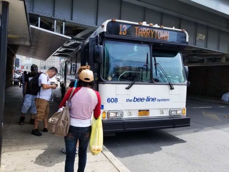 Servicio de buses gratuito del 16 de diciembre al 1º de enero