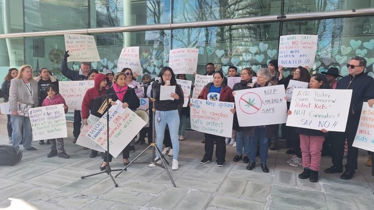 Dispensarios de cannabis dependerían de definición de “escuela”