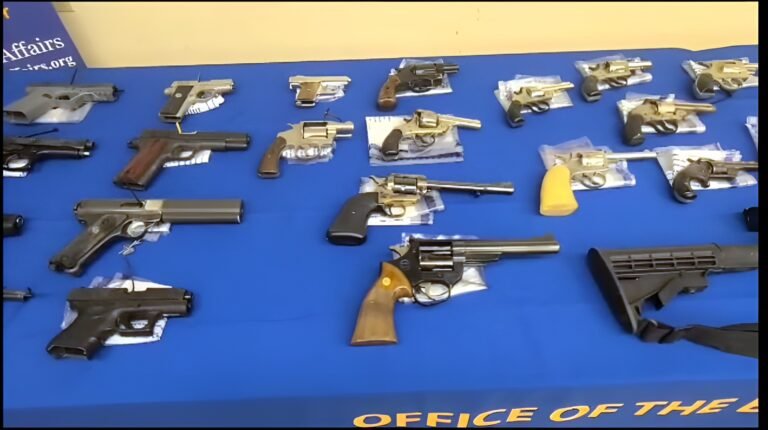 Recompra de armas para concientizar sobre la violencia armada