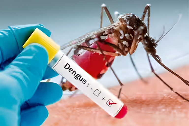 ¡Cuidado!, el dengue amenaza EEUU