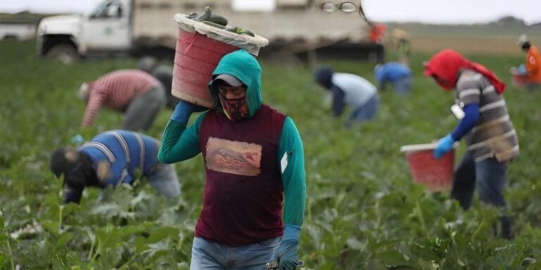 Derechos y responsabilidades de los trabajadores inmigrantes
