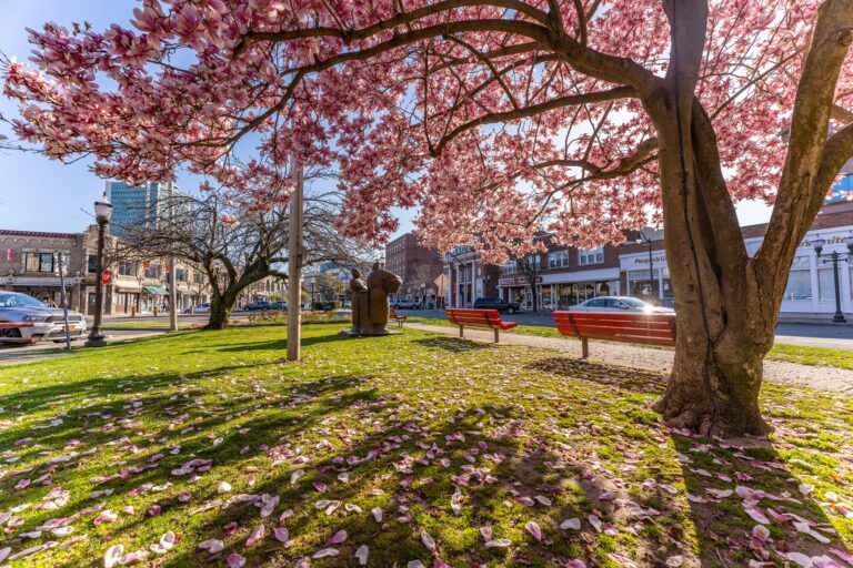 Ciudad de CT entre los 50 mejores lugares para vivir en familia