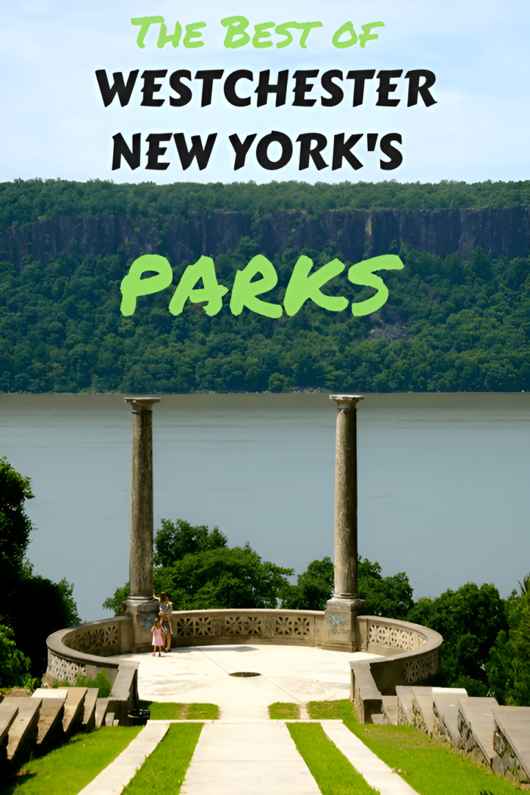 Feria de empleo para trabajar en los parques de Condado