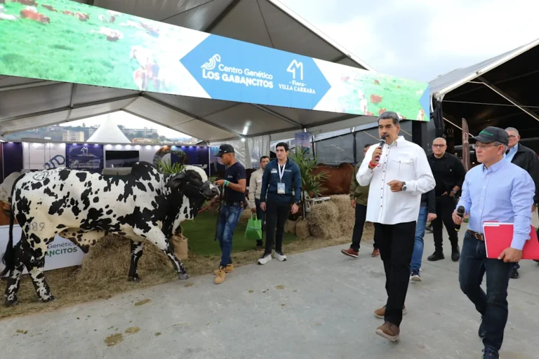 Maduro ordena incrementar los vuelos de retorno a Venezuela de migrantes detenidos en EEUU