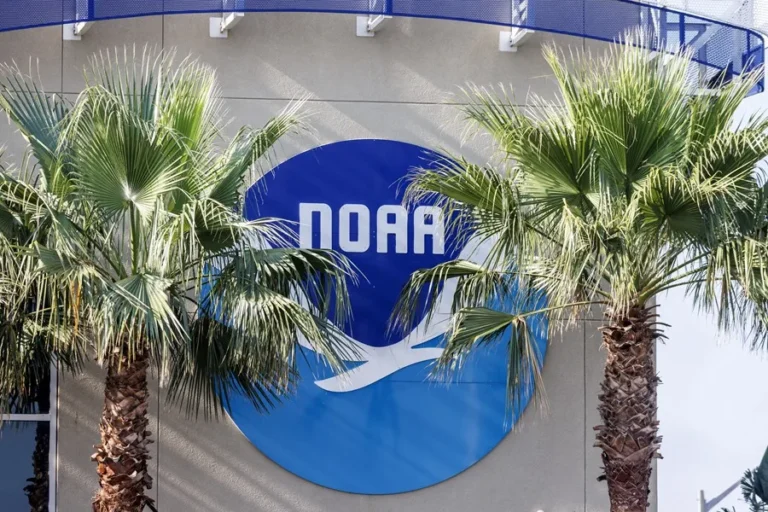 Los recortes de Trump amenazan la situación de los latinos ante la crisis climática