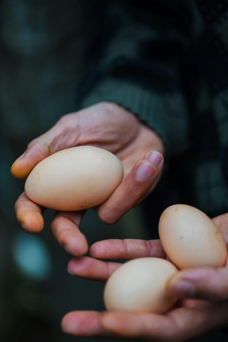 1.7 millones de huevos retirados del mercado por brote de salmonela en varios estados
